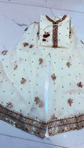 Festive Embroidered 3 Piece Dress